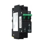 CBI Main Switch 2 Pole 63A