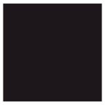 Dulux Roofguard Basic Black 20L