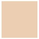 Dulux Weatherguard Palomino 20L