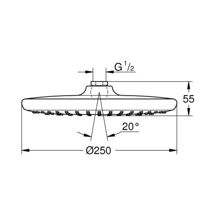 Grohe Tempesta 250 Shower Head Round Chrome