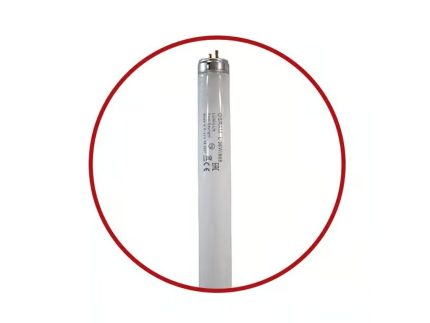Osram Fluorescent Tube 1.2m 36W