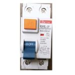 Raytric Earth Leakage Mini Rail 2 Pole 63A